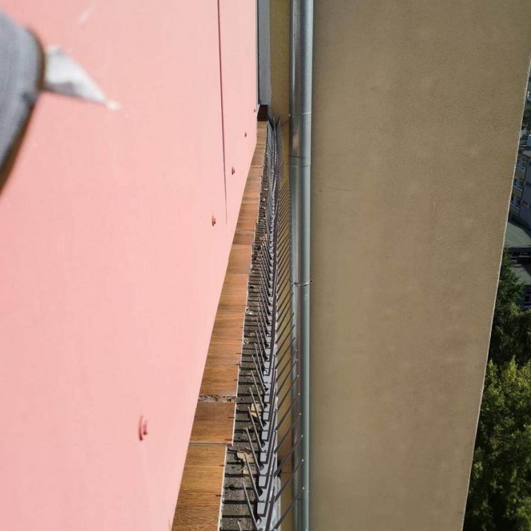 Zastosowanie kolców na ptaki w celu ochrony budynków
