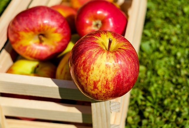 Dobre dane o fachowym przechowywaniu jabłek